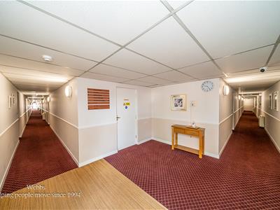 Picture 24